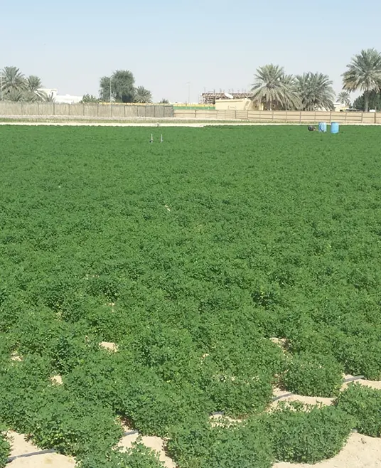Water Management