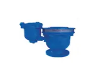 D.I air valve