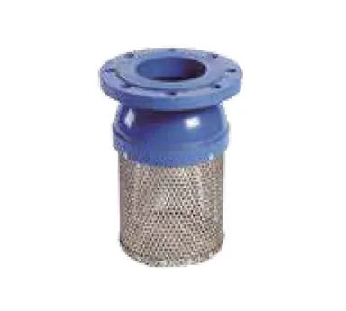 Foot Valve